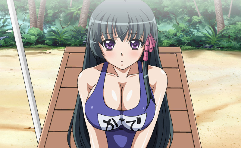 ビーチクビーチ ～南国乳辱撮影会～のサンプル画像3