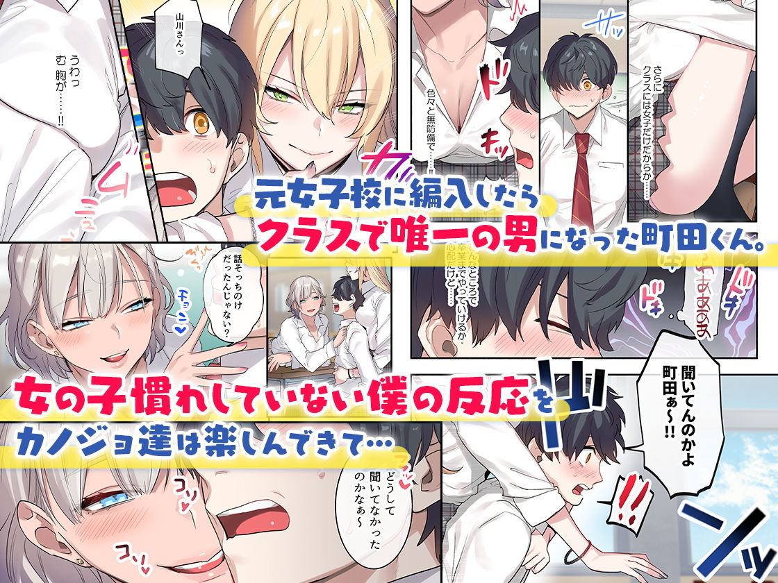 クラスで男は僕一人！？〜可愛いあの子達に囲まれて〜のサンプル画像1