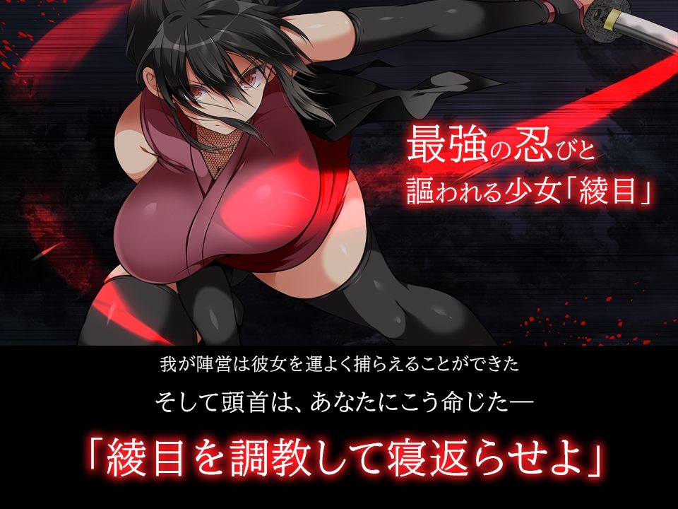 忍堕としのサンプル画像1
