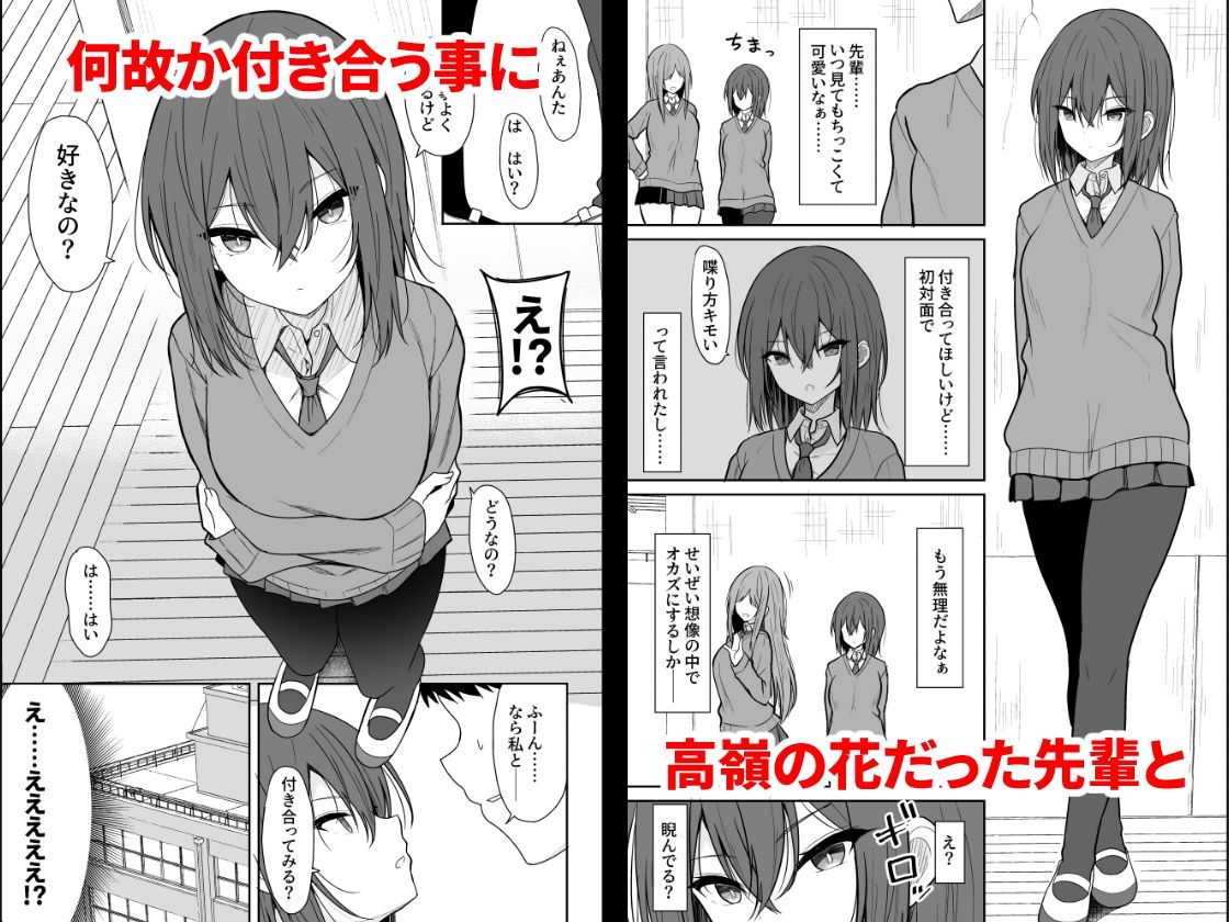 冷たい先輩が無許可中出しされるまでのサンプル画像1